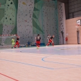 I Jeseník si užil divácké zlo futsalu, Hodonín v tom "válel"