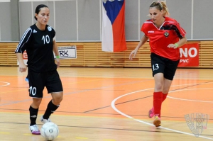 Gamaspol zřejmě dostane divokou kartu