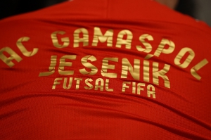 Členské příspěvky 